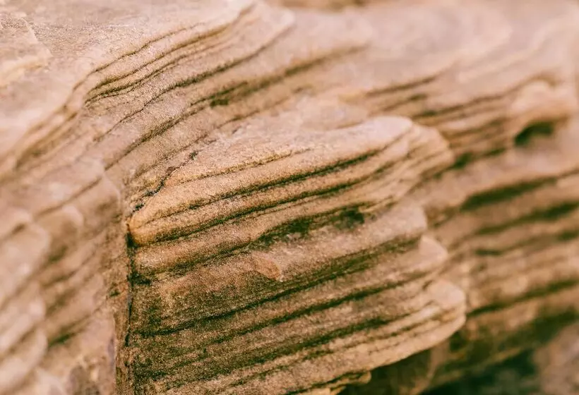 Lomakeskus Dornoch Station