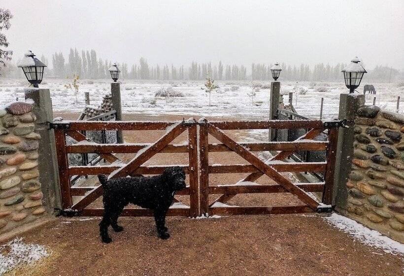 Cabañas Viento Andino