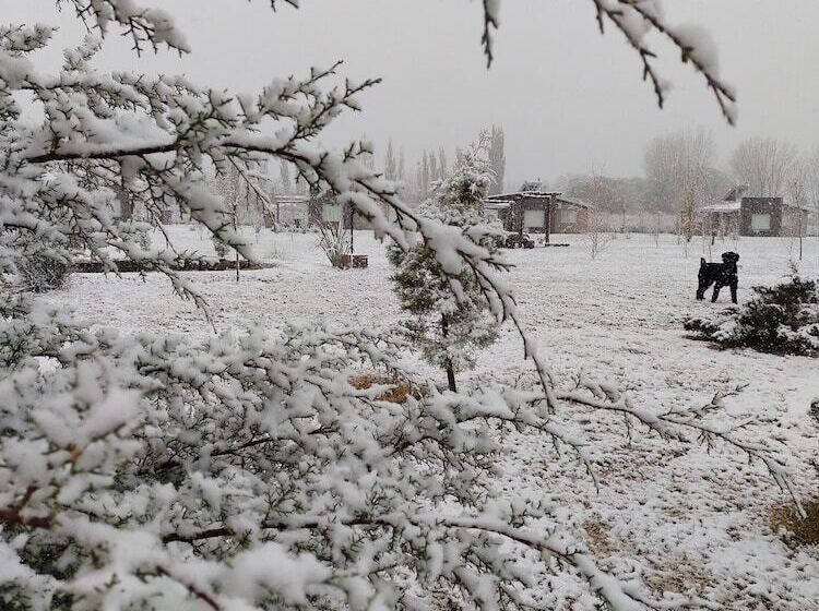 Cabañas Viento Andino