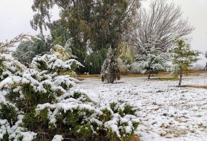 Cabañas Viento Andino