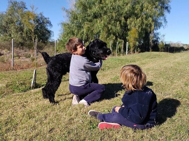 Cabañas Viento Andino