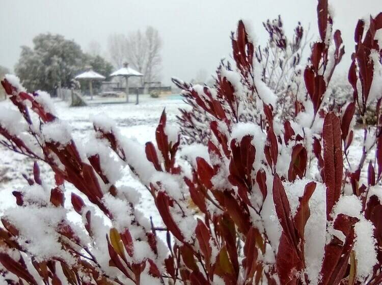 Cabañas Viento Andino