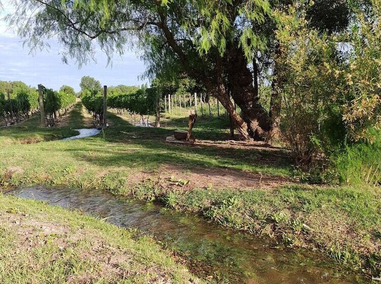 Cabañas Viento Andino