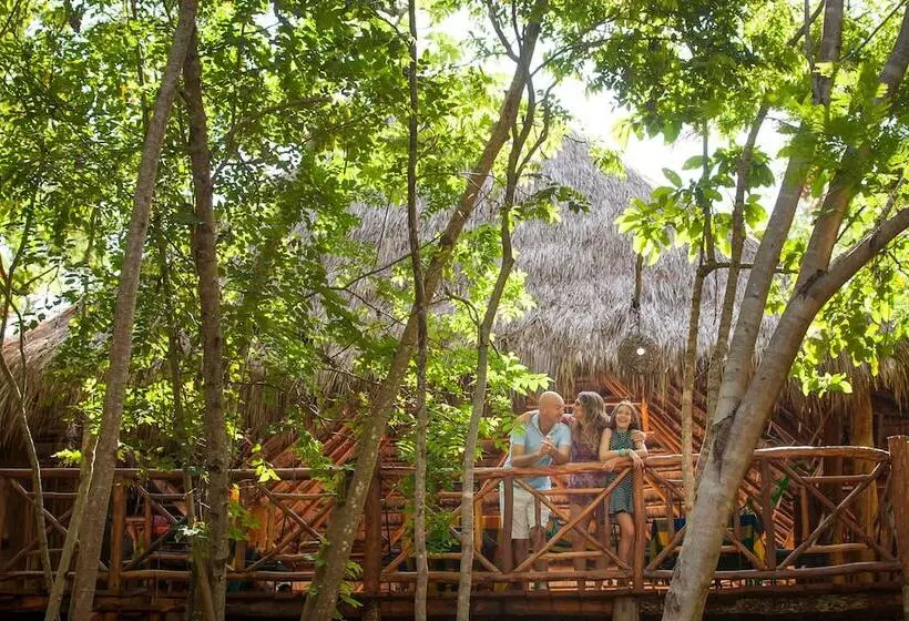ホテル Akumal Natura Glamping