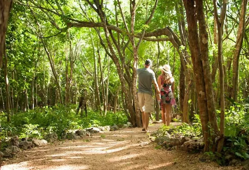 ホテル Akumal Natura Glamping