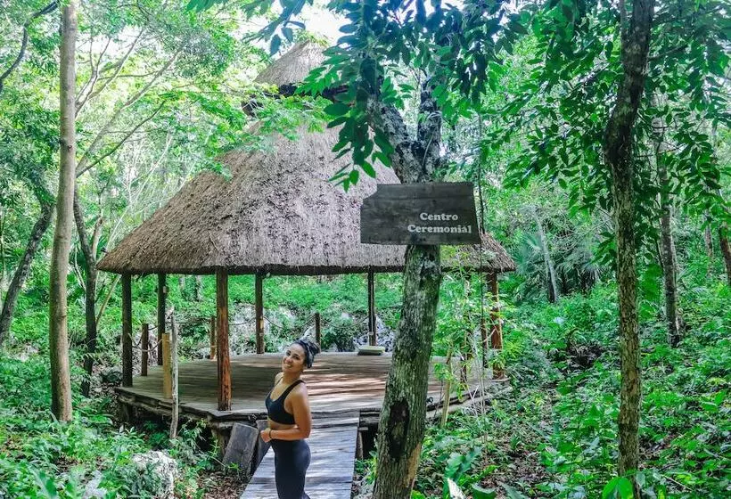 ホテル Akumal Natura Glamping