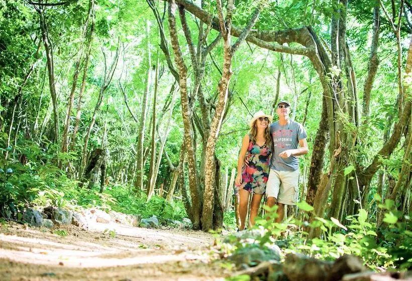 ホテル Akumal Natura Glamping