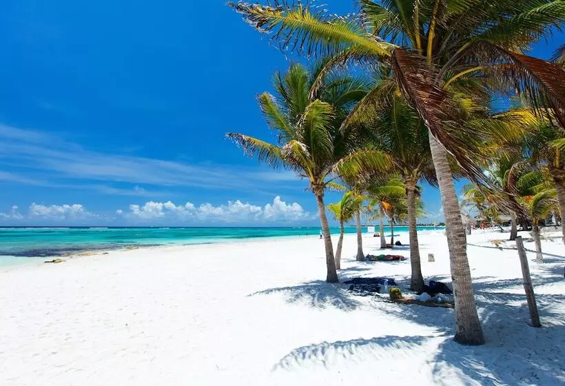 ホテル Akumal Natura Glamping