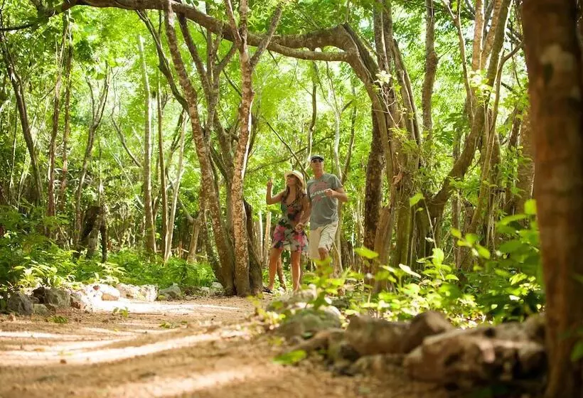 ホテル Akumal Natura Glamping