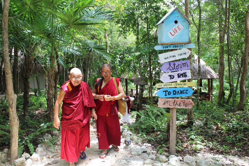 فندق Akumal Natura Glamping