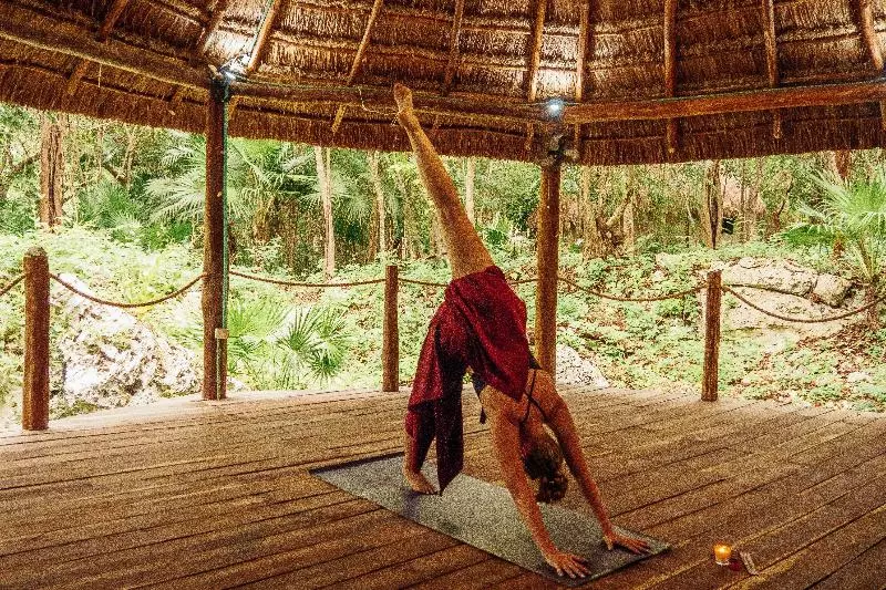 ホテル Akumal Natura Glamping