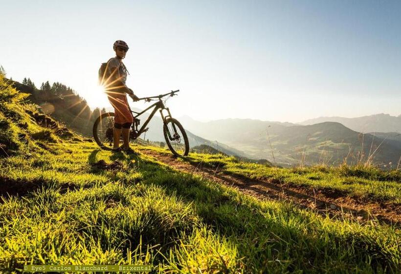 בית מלון כפרי Alpenhof