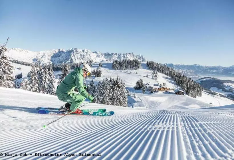 Hotelli Alpenhof