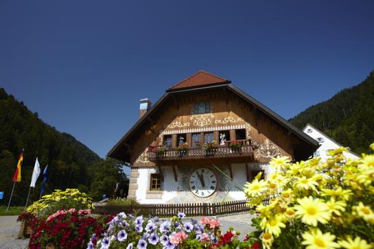 Отель Hofgut Sternen Goethehaus