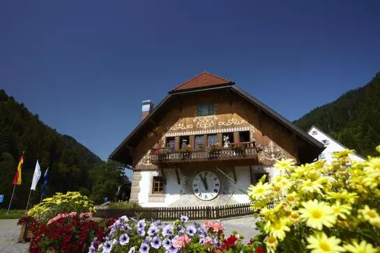 Hotelli Hofgut Sternen Goethehaus