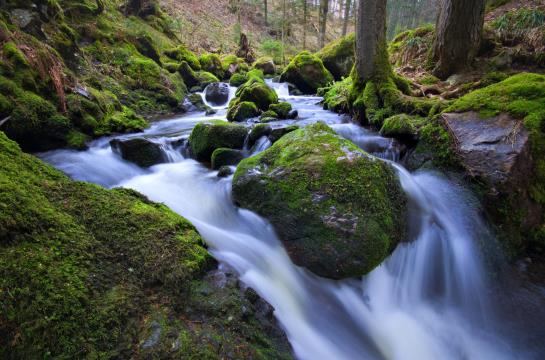 Отель Hofgut Sternen Goethehaus