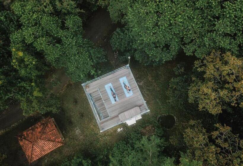 酒店 Plataran Menjangan Resort And Spa Chse Certified