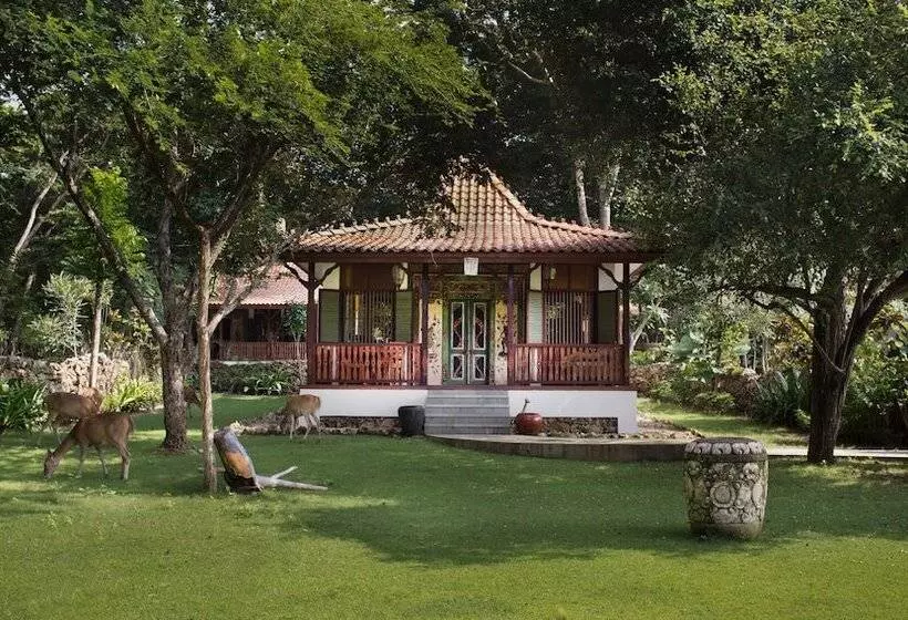 ホテル Plataran Menjangan Resort And Spa   Chse Certified
