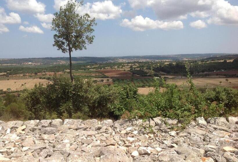 هتل Tipico Resort