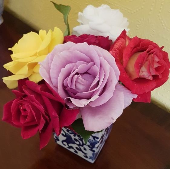 Jensens Bed And Breakfast