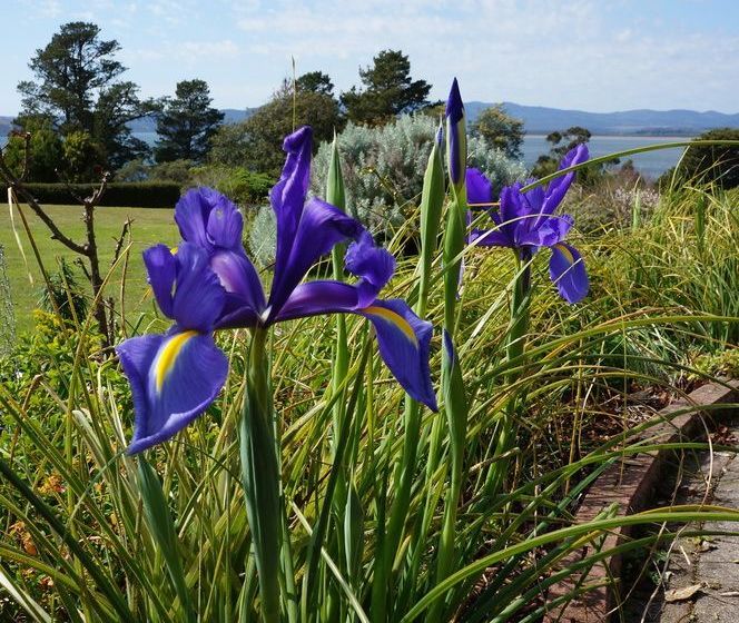Jensens Bed And Breakfast