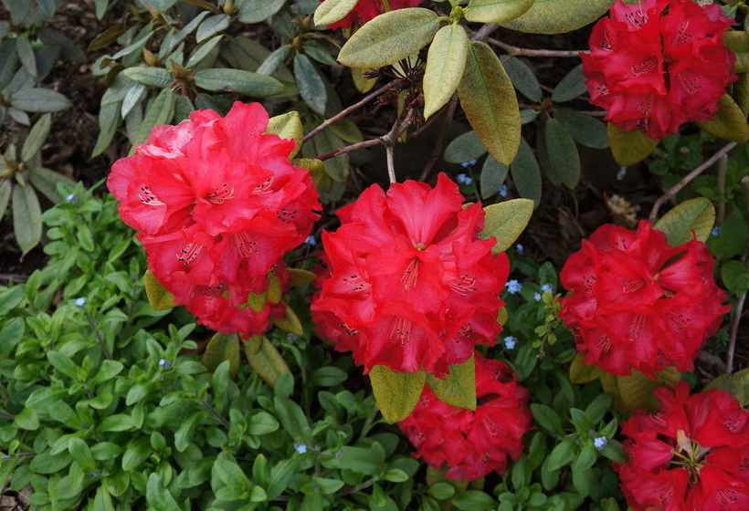 Jensens Bed And Breakfast