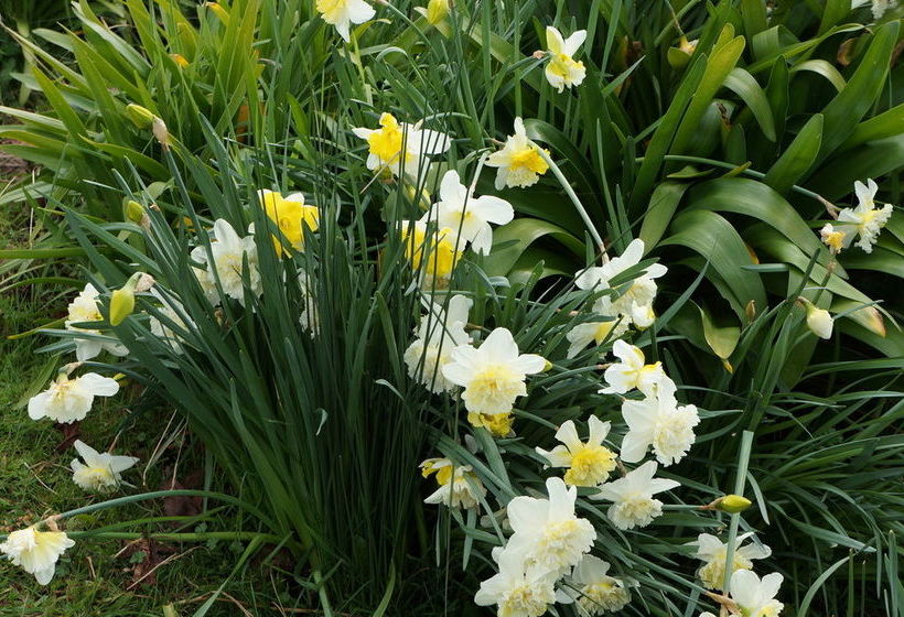 Jensens Bed And Breakfast