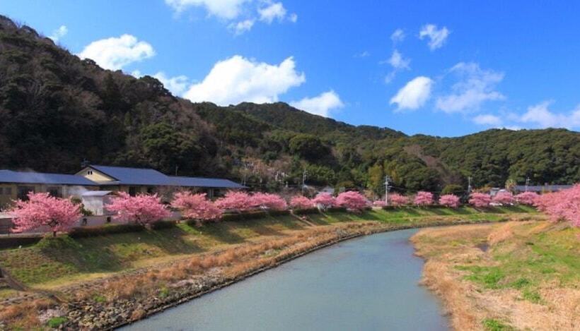 Рёкан Kawachiya