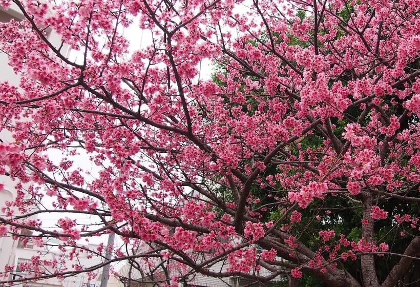 Secret House Makishi