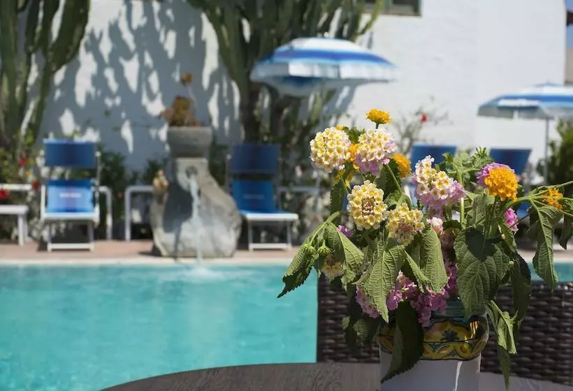 Room In B&b   Ischia, 1 Relaxing Doubles Hotel Imperamare