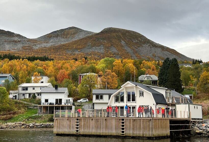 فندق Torsken Brygge Senja By Heart