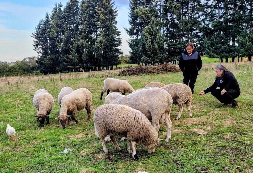 Y Cabañas Molino Viejo