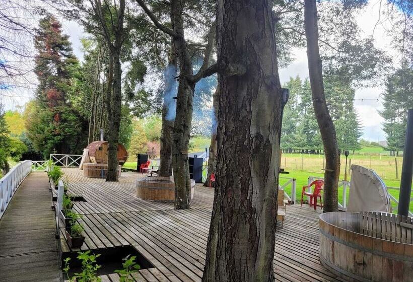 Y Cabañas Molino Viejo