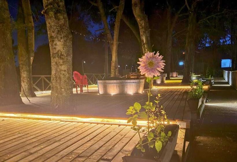 Y Cabañas Molino Viejo