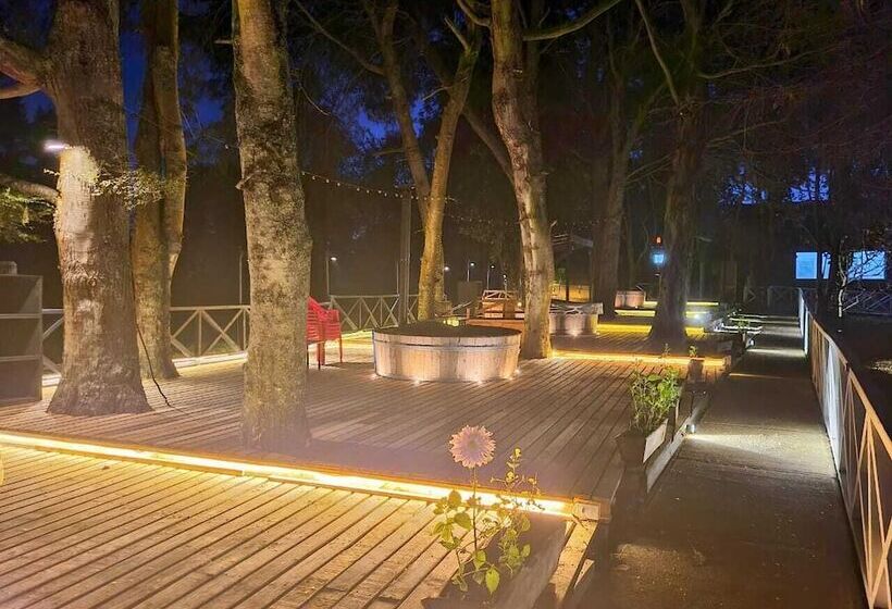 Y Cabañas Molino Viejo