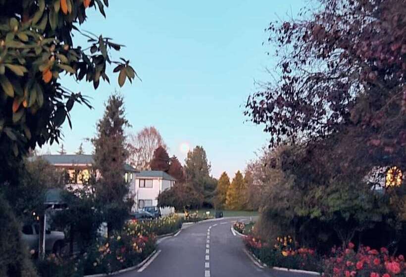 Y Cabañas Molino Viejo