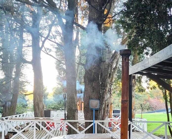 Y Cabañas Molino Viejo