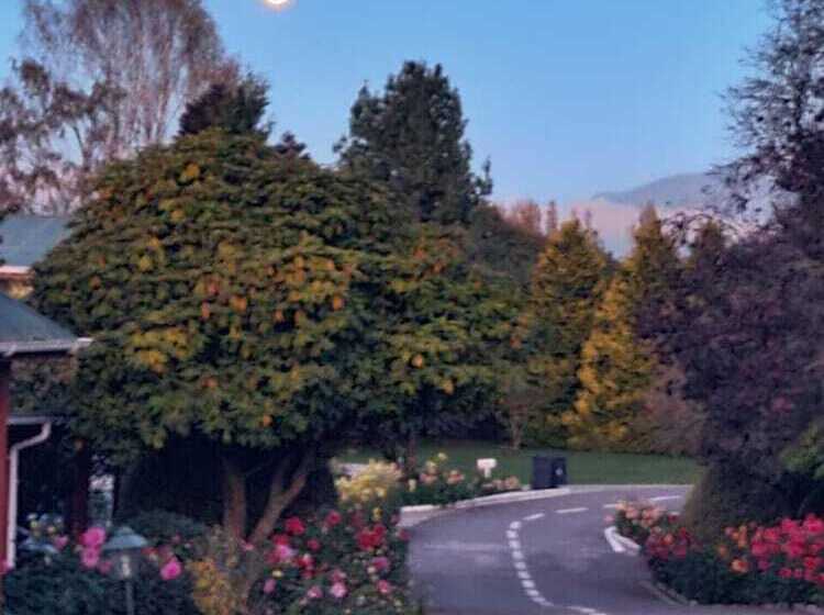 Y Cabañas Molino Viejo