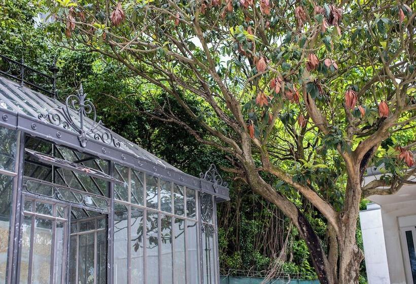 هتل One Shot Palácio Cedofeita