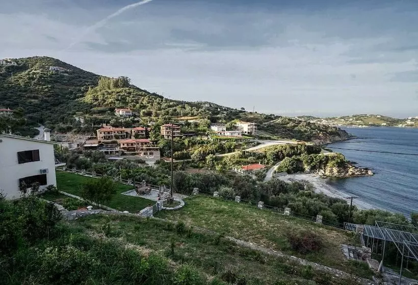 Hotelli Sonia Rustic Mansion   5bd 30 Sec Walk To Beach