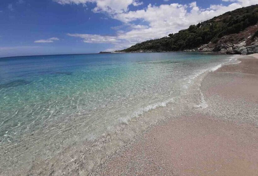 Отель Sonia Rustic Mansion   5bd 30 Sec Walk To Beach