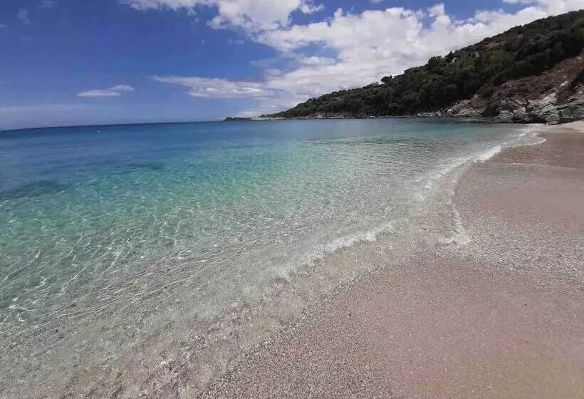 Hotelli Sonia Rustic Mansion   5bd 30 Sec Walk To Beach