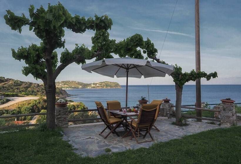 Отель Sonia Rustic Mansion   5bd 30 Sec Walk To Beach