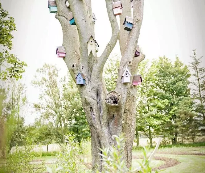 Majatalo Newton Hall Courtyard Rooms