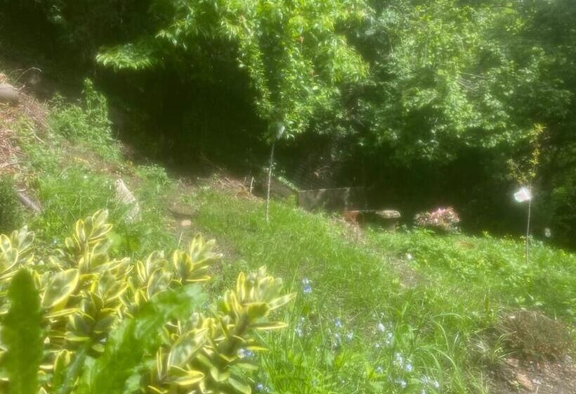 צימר Il Castello Di Venere