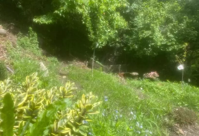 Aamiaismajoitus (B&B) Il Castello Di Venere