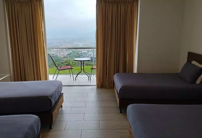 ホテル Entre Lomas