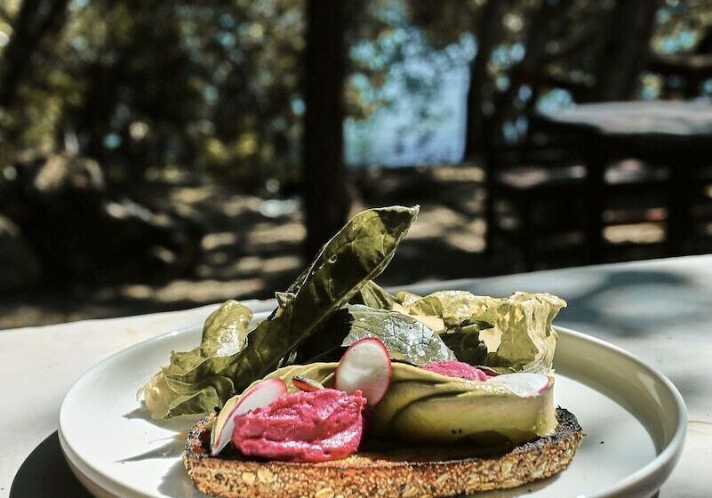 בית מלון כפרי Kapok Bacalar – Plant Based