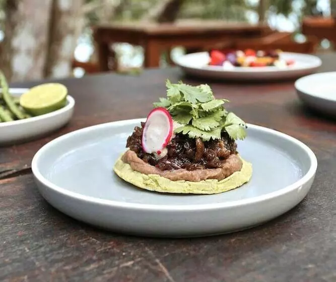 Hotelli Kapok Bacalar – Plant Based