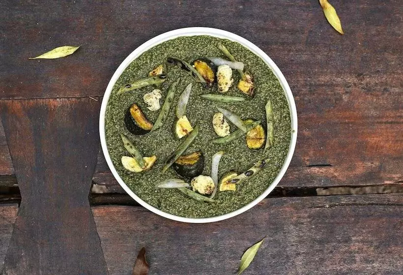 Hotelli Kapok Bacalar – Plant Based